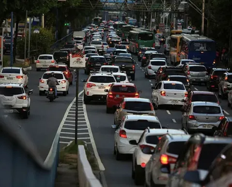 A escolha da morte - Imagem