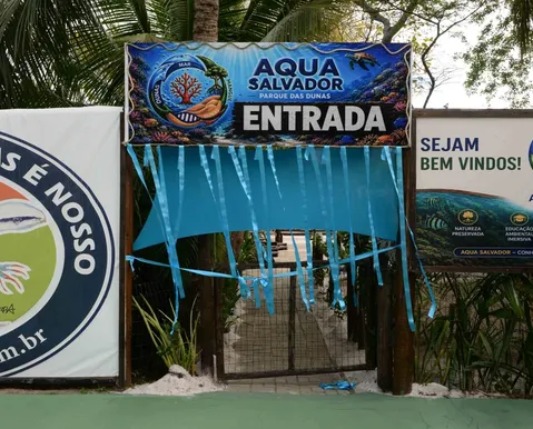 Novo aquário em Salvador reúne peixes exóticos e experiências educativas
