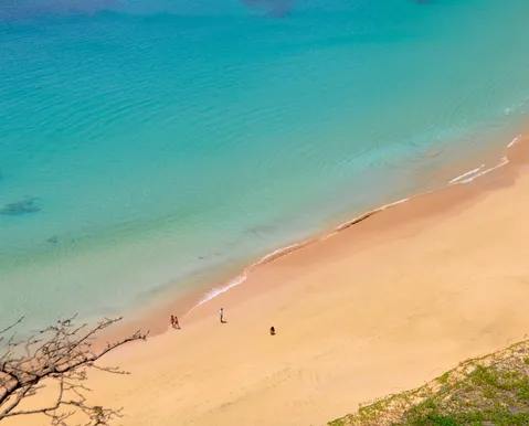 Praia do Nordeste entra em ranking das melhores do mundo - Imagem