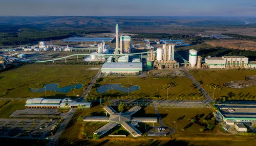 35 anos da Veracel: como a empresa ajudou a transformar o Sul da Bahia