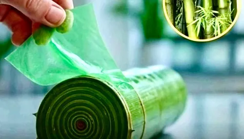 Plásticos biodegradáveis de bambú