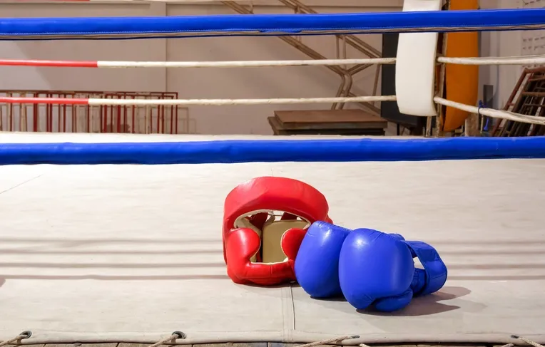 Muay Thai e Jiu-jitsu: Brasil é o país que mais busca esportes de combate
