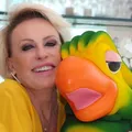 Ana Maria Braga revela que recebe benefício do governo imagem
