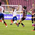 Bahia x São Paulo: onde assistir, prováveis escalações e arbitragem imagem