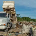 Biólogo condenado à prisão por crime ambiental imagem