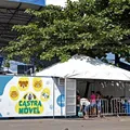 Castração gratuita de cães e gatos na Paralela começa nesta terça imagem