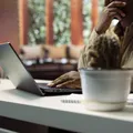 Confira lista com 10 vagas home office em empresas internacionais imagem