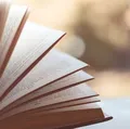 Livro que pode ter sido escrito com IA dispara e vende 18 mil cópias em uma semana imagem