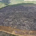 Operação localiza mais de 200 hectares de desmatamento ilegal na Bahia imagem