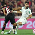 Palmeiras vira líder e Botafogo respira; veja os resultados da rodada imagem