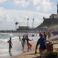 Peixe super venenoso é capturado no Porto da Barra e acende alerta em Salvador imagem