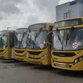 TRE-BA exige ônibus nas ruas e estabelece multa de R$ 1 milhão em Salvador imagem