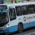 Vai votar em outra cidade? Bahia terá transporte gratuito nas eleições imagem
