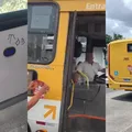 Novos ônibus de Salvador são vandalizados uma semana após entrega imagem