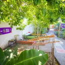 Horta escolar de Camaçari vira espaço de ciência e aprendizagem