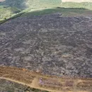 Operação localiza mais de 200 hectares de desmatamento ilegal na Bahia