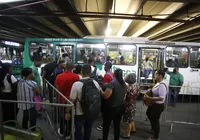 Frota de Salvador ganha 30 ônibus com ar-condicionado por R$ 22,7 milhões