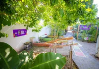 Horta escolar de Camaçari vira espaço de ciência e aprendizagem