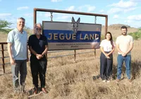 Jegue Land: fazenda na Bahia aposta na ciência para valorizar jumentos