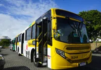 Salvador recebe 326 novos ônibus em maior renovação da história