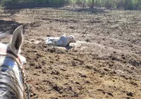 Estudo aponta riscos e propõe medidas contra mudanças climáticas na Bahia