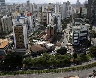 Apenas 45,5% dos brasileiros têm três ou mais árvores perto de casa