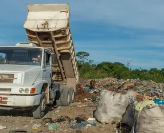 Biólogo condenado à prisão por crime ambiental