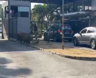 Carro da polícia chega a garagem de ônibus em meio a atrasos