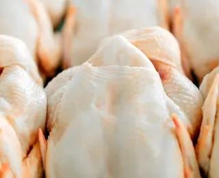 Após 60 dias, frango e mel ganham sinal verde para exportação à UE