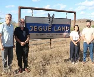 Jegue Land: fazenda na Bahia aposta na ciência para valorizar jumentos