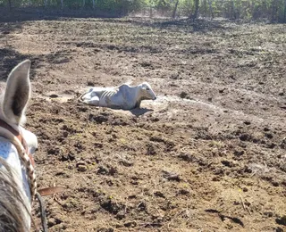 Super El Niño: como o SUS está se preparando para pior seca no Nordeste