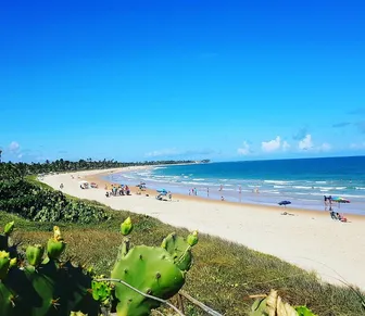 Bahia é o 3º estado com mais praias de excelência e preservação ambiental