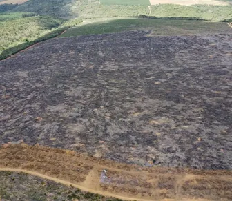Operação localiza mais de 200 hectares de desmatamento ilegal na Bahia