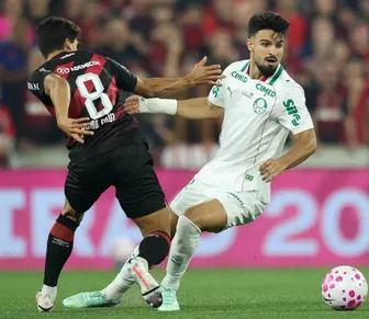 Palmeiras vira líder e Botafogo respira; veja os resultados da rodada