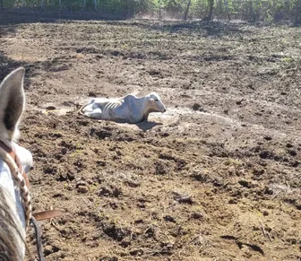 Estudo aponta riscos e propõe medidas contra mudanças climáticas na Bahia