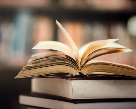 Autor baiano chega à final de prêmio nacional com livro inédito