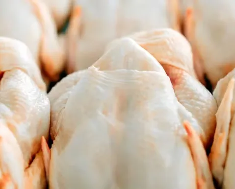 Após 60 dias, frango e mel ganham sinal verde para exportação à UE