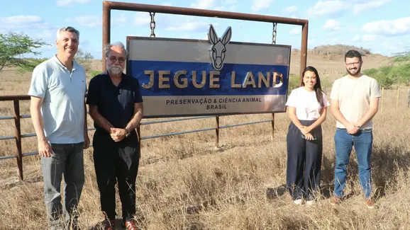 Jegue Land: fazenda na Bahia aposta na ciência para valorizar jumentos