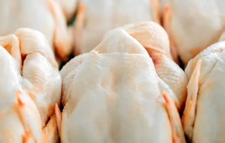 Após 60 dias, frango e mel ganham sinal verde para exportação à UE