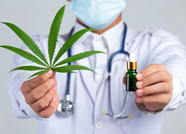 Uso de cannabis medicinal ganha espaço no tratamento de ansiedade e depressão no Brasil