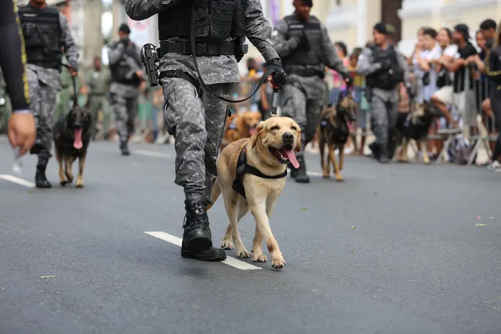 Confira tudo o que aconteceu no desfile de 7 de Setembro