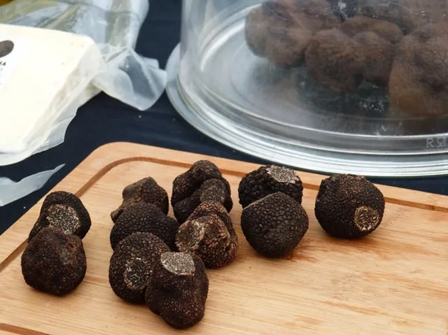 Raras, as trufas trazem curiosidade e sofisticação à cozinha