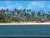 A Praia dos Carneiros é considerada uma das mais bonitas do Estado de Pernambuco.