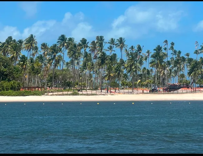 A Praia dos Carneiros é considerada uma das mais bonitas do Estado de Pernambuco.