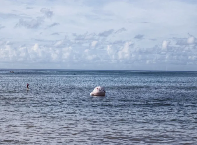 Tradicional Baleia Rosa acontece mesmo sem Lavagem de Itapuã