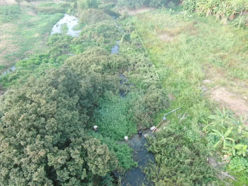 Drone da PM flagra 150kg de maconha com 4 suspeitos no norte da Bahia