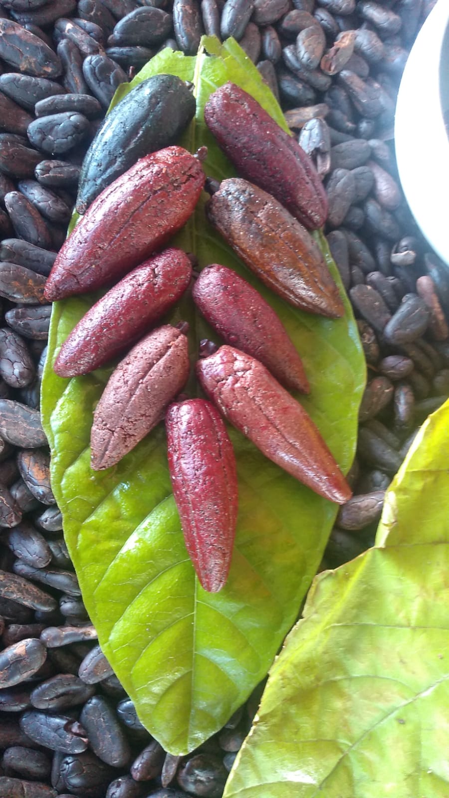 Produtores de uma das iguarias mais amadas preparam-se para a  Páscoa