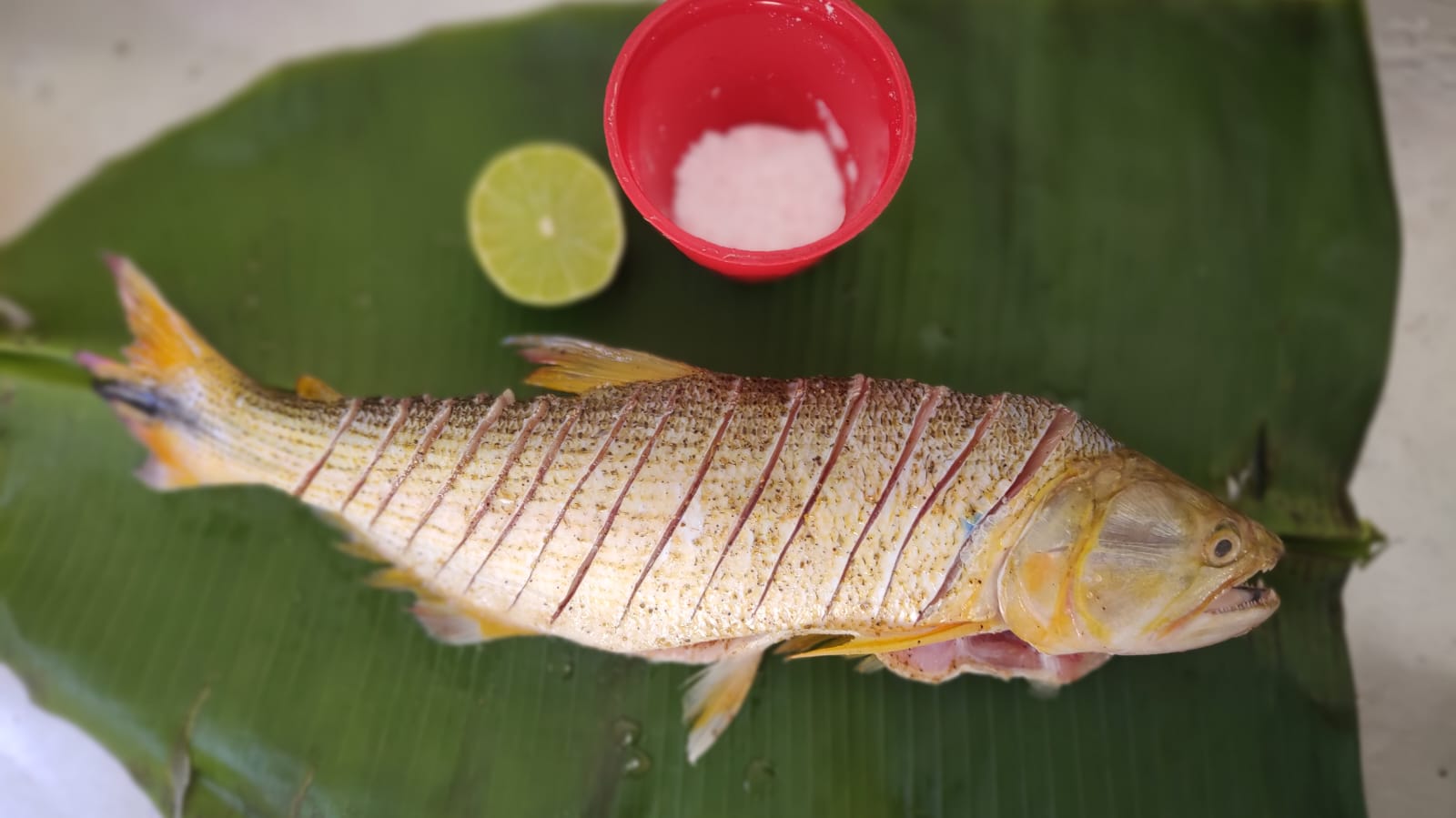 Peixe no moquém traz o sabor da cultura dos povos originários