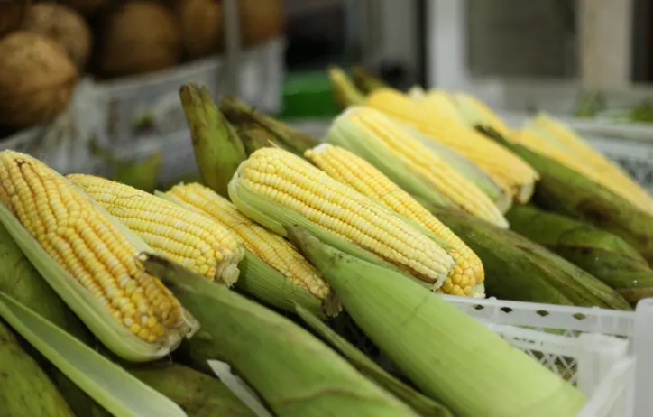 São João já chegou com suas deliciosas comidas típicas