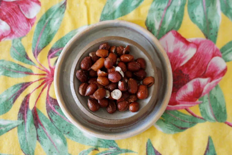 Patrimônio biocultural, o licuri é bastante valorizado